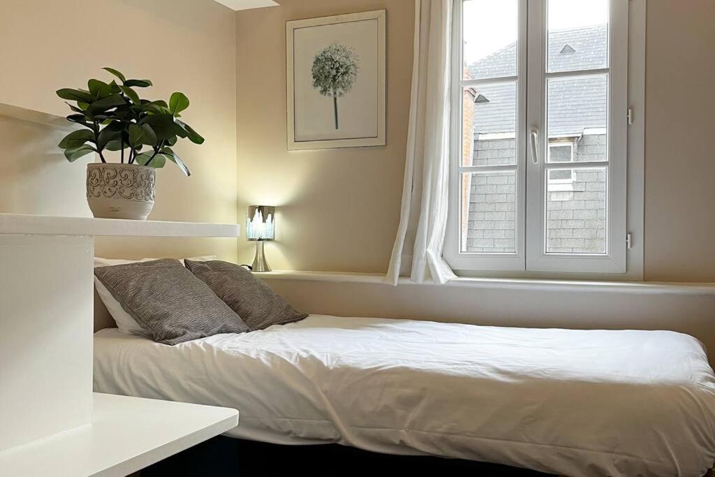 Апартаменты #Le Maillard #Grand F2 #Hyper Centre Бриве-ла-Гаилларде Экстерьер фото